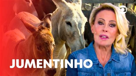 filhote de cavalo com jumenta|Ana Maria Braga descobre o bardoto: filhote de。